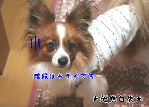 d0013149_24129.jpg