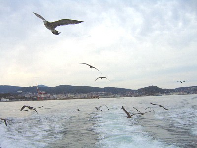 a0089450_19572123.jpg