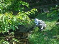c0108460_17275865.jpg