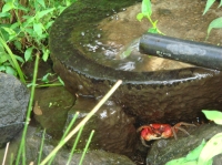 c0108460_1732159.jpg
