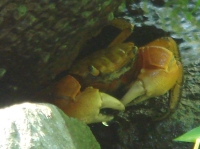 c0108460_17344830.jpg