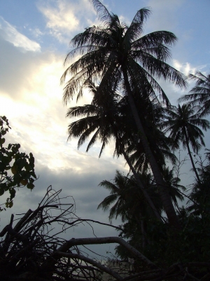 e0057760_855493.jpg