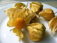 Physalis ～ほおずき～_f0097363_20152241.jpg