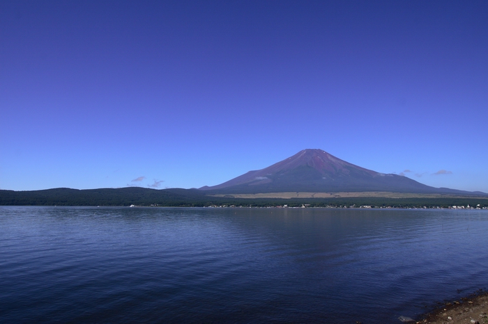 f0105478_1154524.jpg