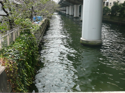 f0146198_2241416.jpg