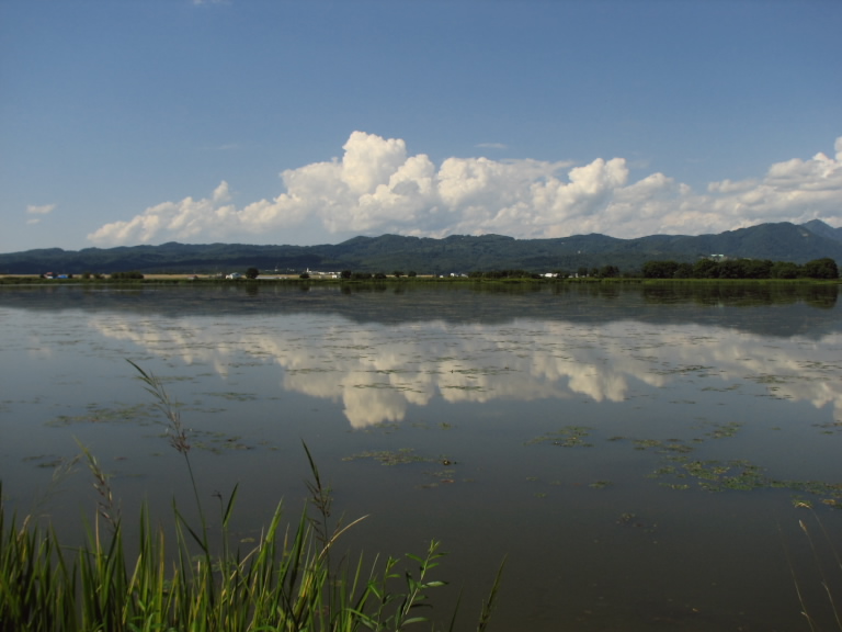 静かに時を待つ（宮島沼）_f0002701_68508.jpg