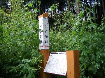 c0051112_14372460.jpg