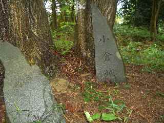 c0051112_14452041.jpg