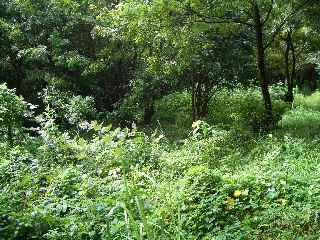 c0051112_14453610.jpg