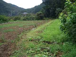 c0051112_16345525.jpg