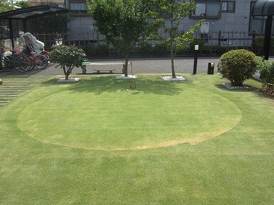 芝庭 コバケン日記