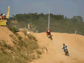* 天高く鉄の馬跳ねる夏 *_a0033733_9383092.gif