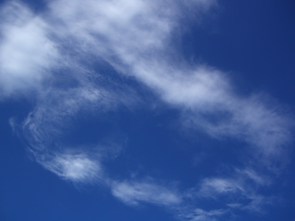 b0029438_122301.jpg