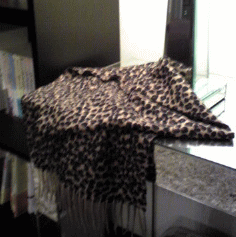 f0063944_16531598.gif
