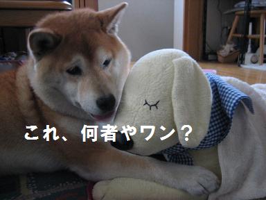 むか~しの音楽を掘り起こして ♪_c0049950_14564032.jpg