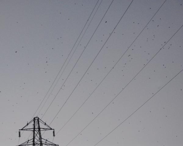 e0035757_1961352.jpg