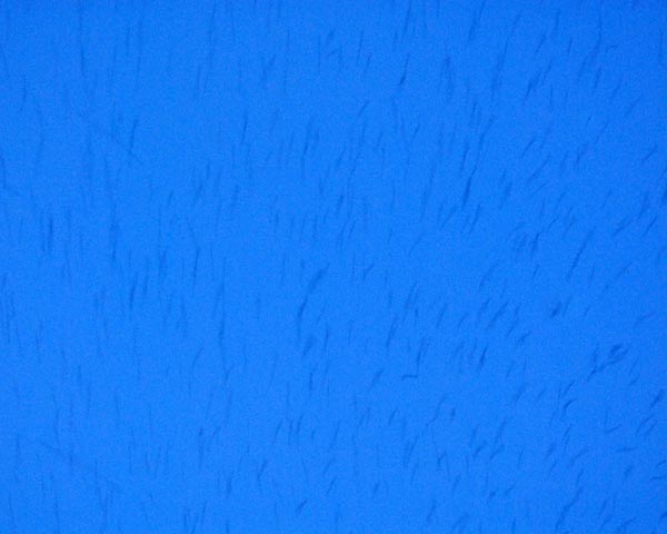 e0035757_197787.jpg