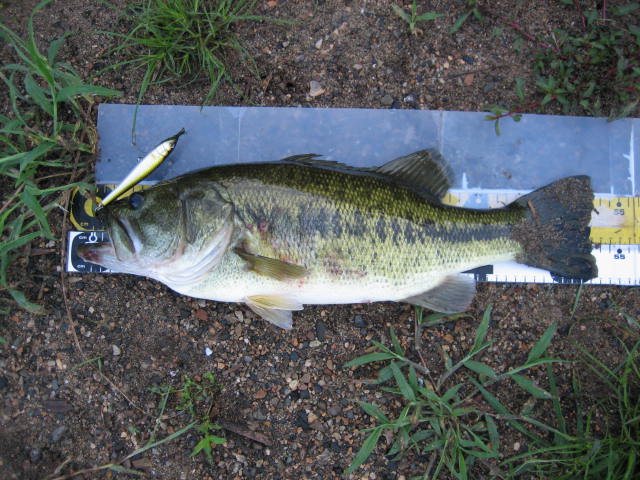 c0127358_12433516.jpg