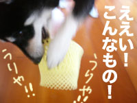 b0057675_1112550.jpg