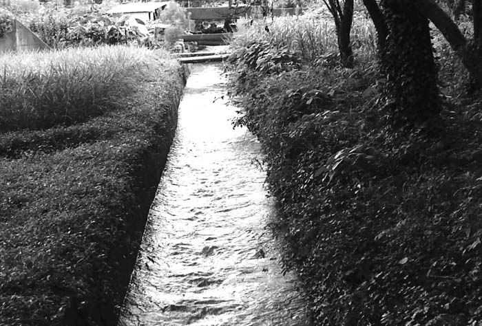 c0131875_021341.jpg