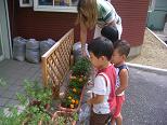 Going outside to pick leaves: September 3, 2007 _d0114908_177282.jpg