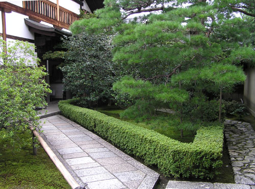 大徳寺2 龍源院_e0048413_2249850.jpg