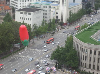 b0028524_7321337.jpg