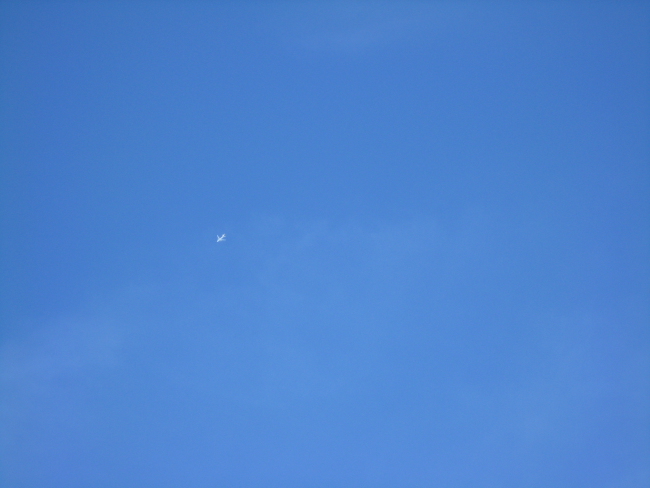 c0124029_2334245.jpg
