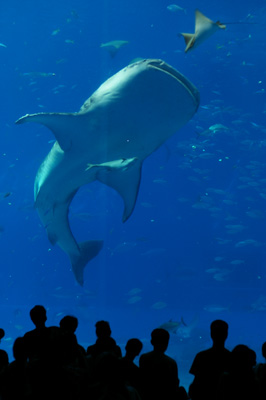 a0052131_23422740.jpg