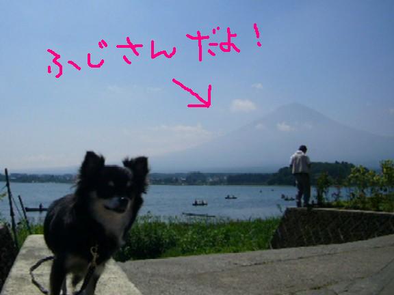 c0121141_0104751.jpg