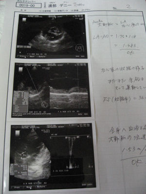 デニーの心臓機能検査_c0033145_22281539.jpg