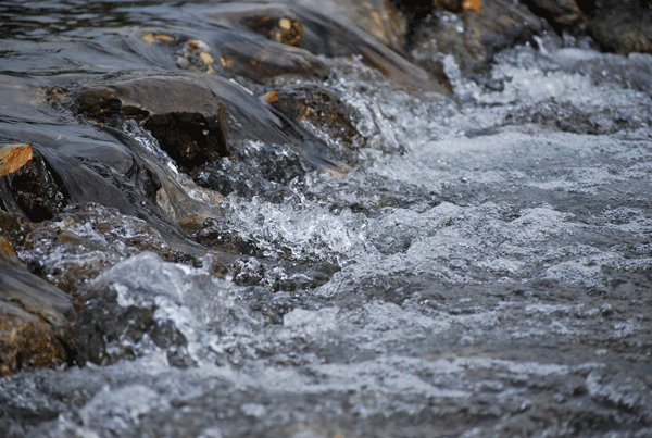 「水のある風景・・」_a0108477_12264993.gif