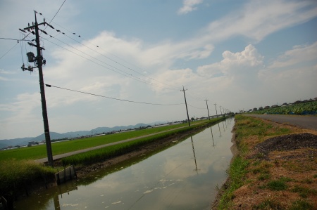 d0063278_20153811.jpg