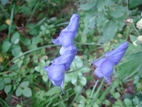 f0146493_10105388.jpg