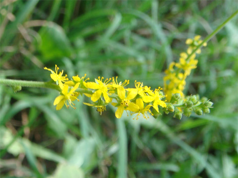 f0146493_1010866.jpg