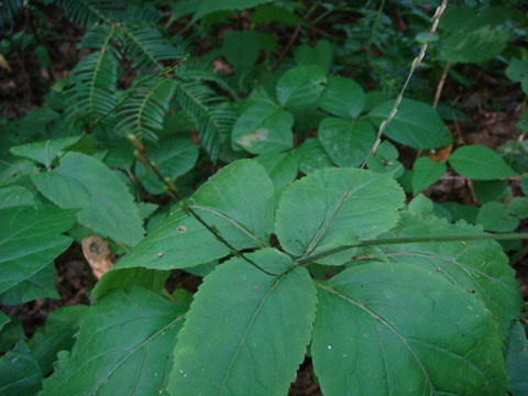f0146493_10184026.jpg