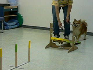 c0128896_2051217.jpg