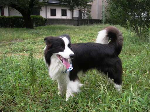 f0034602_20201083.jpg