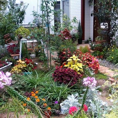 c0117007_20224391.jpg