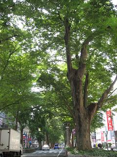 a0044916_23373037.jpg