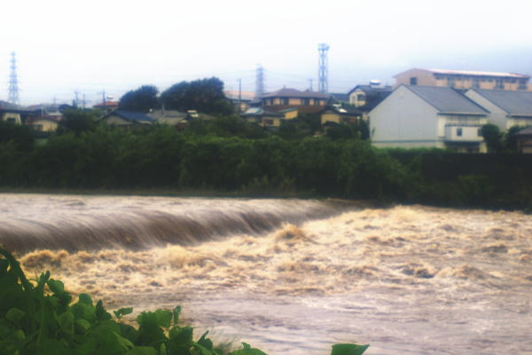 d0006718_10305850.jpg