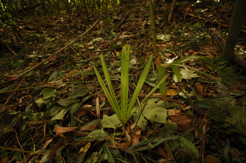 a0059621_17461126.jpg