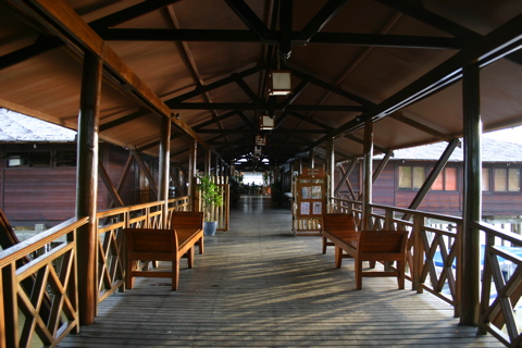 a0084221_8531542.jpg