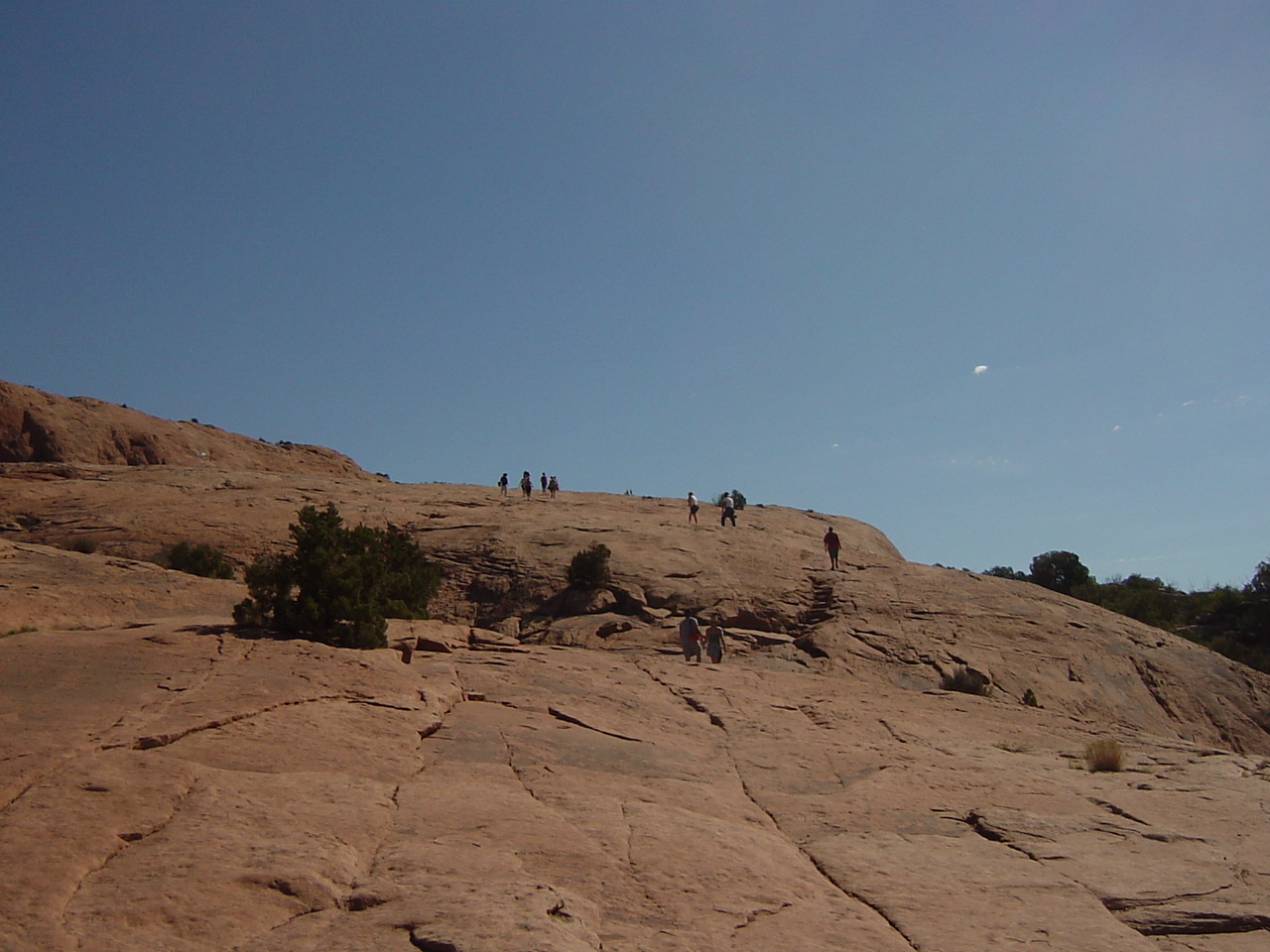 b0105724_111543100.jpg