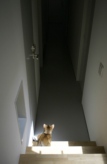 e0090124_831241.jpg
