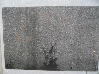 314）小樽旧手宮線跡地　「2007年小樽・鉄路・写真展」　8月27日(月)～9月9日(日)_f0126829_126451.jpg