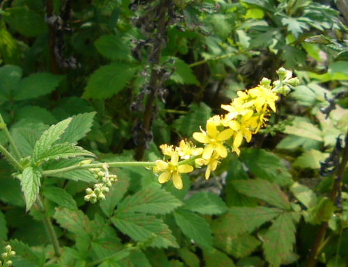 d0075131_0123731.jpg
