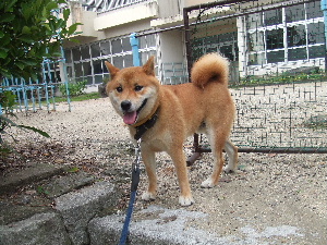 a0054240_15125271.jpg
