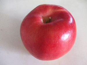 a0054240_1564766.jpg