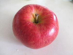 a0054240_1565891.jpg